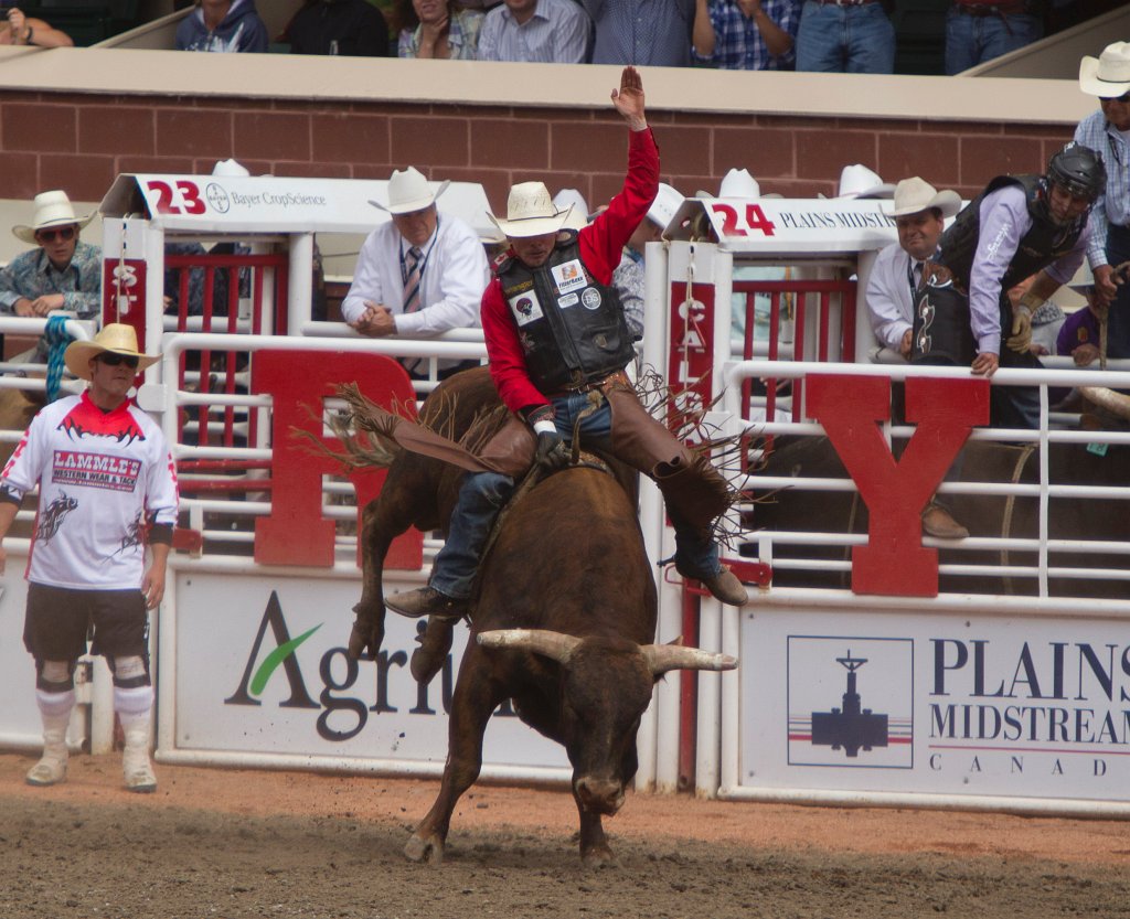 Calgary Stampede-2262.jpg